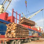 Entre Ríos se consolida como un polo exportador para la industria forestal