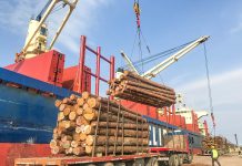 Entre Ríos se consolida como un polo exportador para la industria forestal
