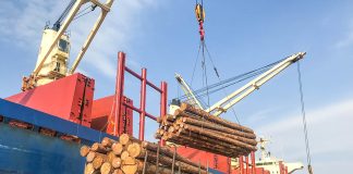 Entre Ríos se consolida como un polo exportador para la industria forestal