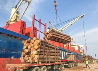 Entre Ríos se consolida como un polo exportador para la industria forestal