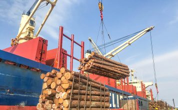 Entre Ríos se consolida como un polo exportador para la industria forestal