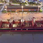 Madera entrerriana para la exportación: De Concepción del Uruguay a la India