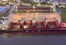 Madera entrerriana para la exportación: De Concepción del Uruguay a la India