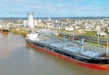Zarpó un buque e ingresa otro. Siguen las exportaciones desde Concepción del Uruguay