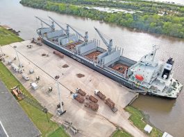 El Allegra cargó 22.300 toneladas en menos de tres días y zarpó rumbo a Ibicuy