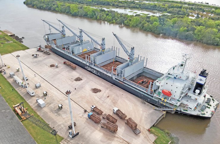 El Allegra cargó 22.300 toneladas en menos de tres días y zarpó rumbo a Ibicuy