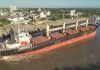 Ingresó otro buque al puerto para exportar eucalipto a la India