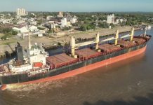 Ingresó otro buque al puerto para exportar eucalipto a la India