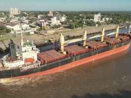 Ingresó otro buque al puerto para exportar eucalipto a la India