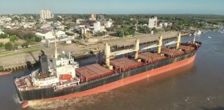 Ingresó otro buque al puerto para exportar eucalipto a la India