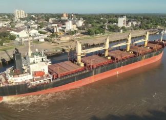 Ingresó otro buque al puerto para exportar eucalipto a la India