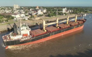 Ingresó otro buque al puerto para exportar eucalipto a la India