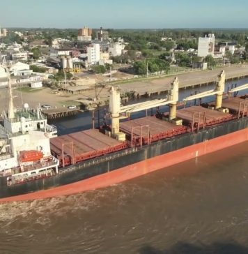 Ingresó otro buque al puerto para exportar eucalipto a la India