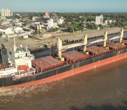 Ingresó otro buque al puerto para exportar eucalipto a la India