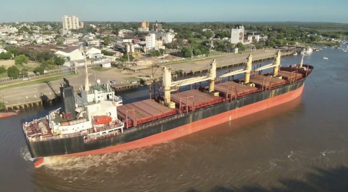 Ingresó otro buque al puerto para exportar eucalipto a la India