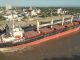 Ingresó otro buque al puerto para exportar eucalipto a la India