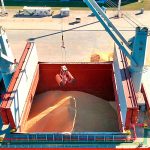 Se exporta soja no modificada genéticamente desde Puerto de Concepción del Uruguay