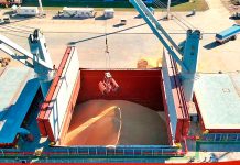 Se exporta soja no modificada genéticamente desde Puerto de Concepción del Uruguay