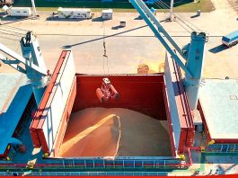 Se exporta soja no modificada genéticamente desde Puerto de Concepción del Uruguay