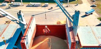 Se exporta soja no modificada genéticamente desde Puerto de Concepción del Uruguay