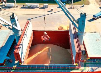 Se exporta soja no modificada genéticamente desde Puerto de Concepción del Uruguay