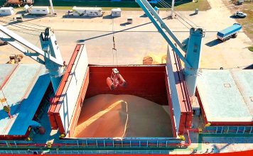 Se exporta soja no modificada genéticamente desde Puerto de Concepción del Uruguay