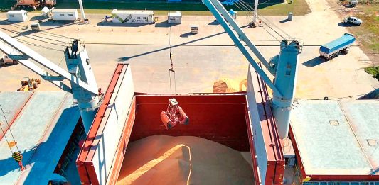 Se exporta soja no modificada genéticamente desde Puerto de Concepción del Uruguay