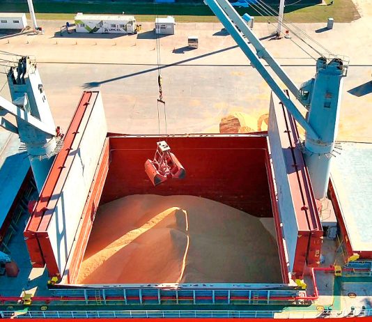 Se exporta soja no modificada genéticamente desde Puerto de Concepción del Uruguay