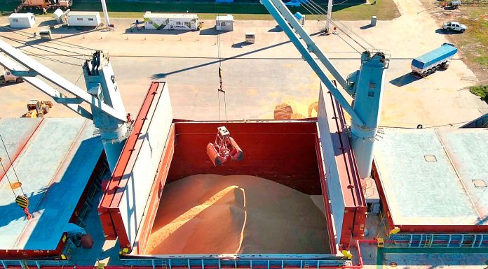 Se exporta soja no modificada genéticamente desde Puerto de Concepción del Uruguay