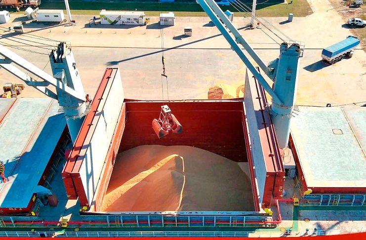 Se exporta soja no modificada genéticamente desde Puerto de Concepción del Uruguay