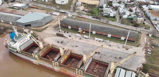 El puerto diversifica sus cargas, suma exportaciones y genera más trabajo