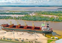 El puerto está cargando un buque con madera y el viernes llega otro para exportar harina de soja