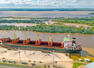 El puerto está cargando un buque con madera y el viernes llega otro para exportar harina de soja