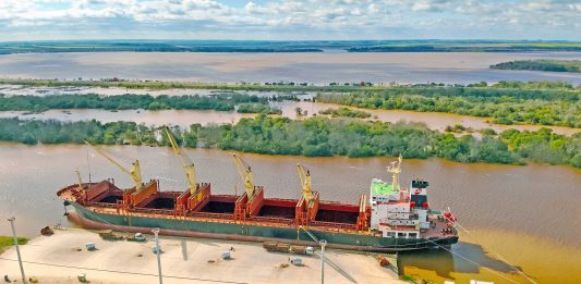El puerto está cargando un buque con madera y el viernes llega otro para exportar harina de soja