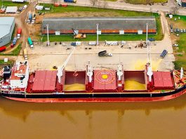Se concretó una nueva exportación de harina de soja genéticamente no modificada