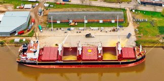 Se concretó una nueva exportación de harina de soja genéticamente no modificada