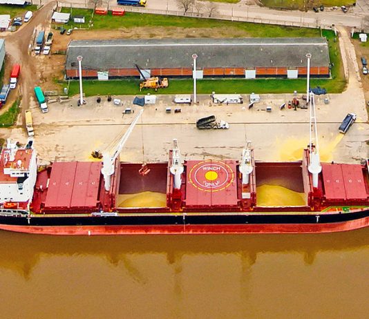 Se concretó una nueva exportación de harina de soja genéticamente no modificada